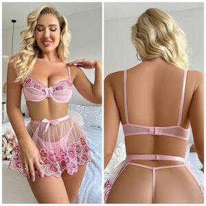 ❤️ NEW Heart Embroidery Mesh Underwire Lingerie Set